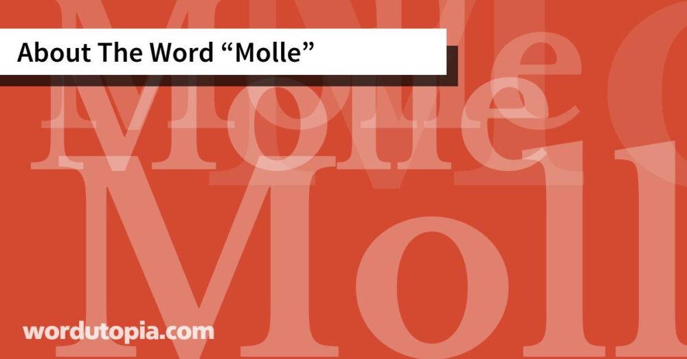About The Word Molle