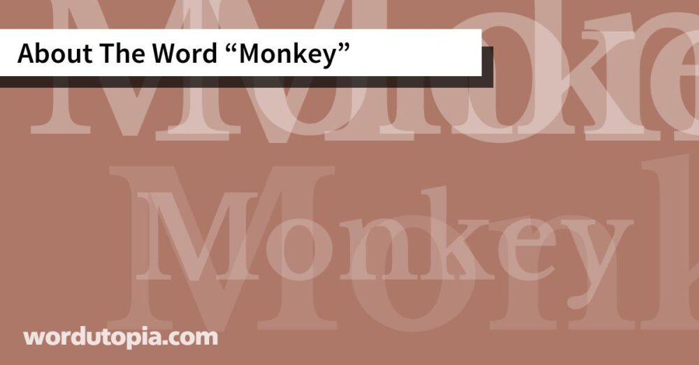 About The Word Monkey