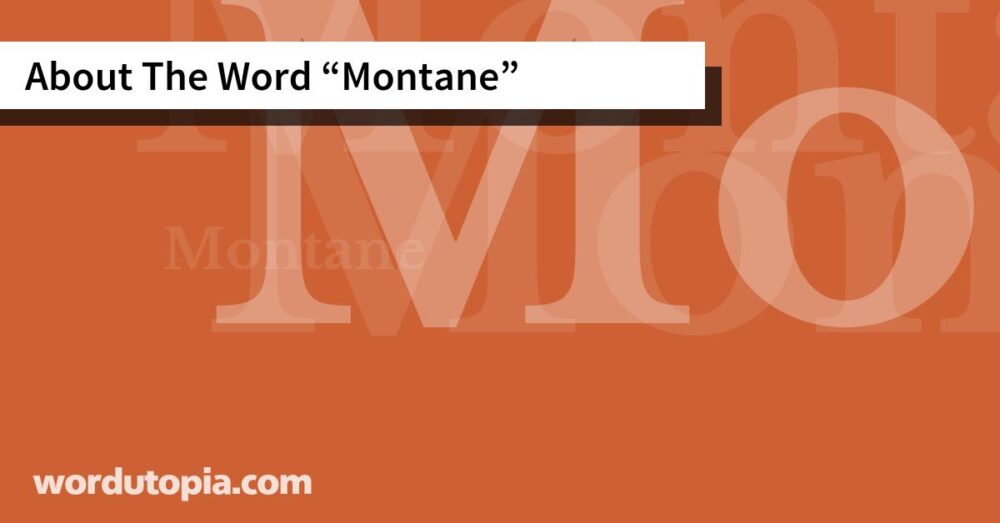 About The Word Montane