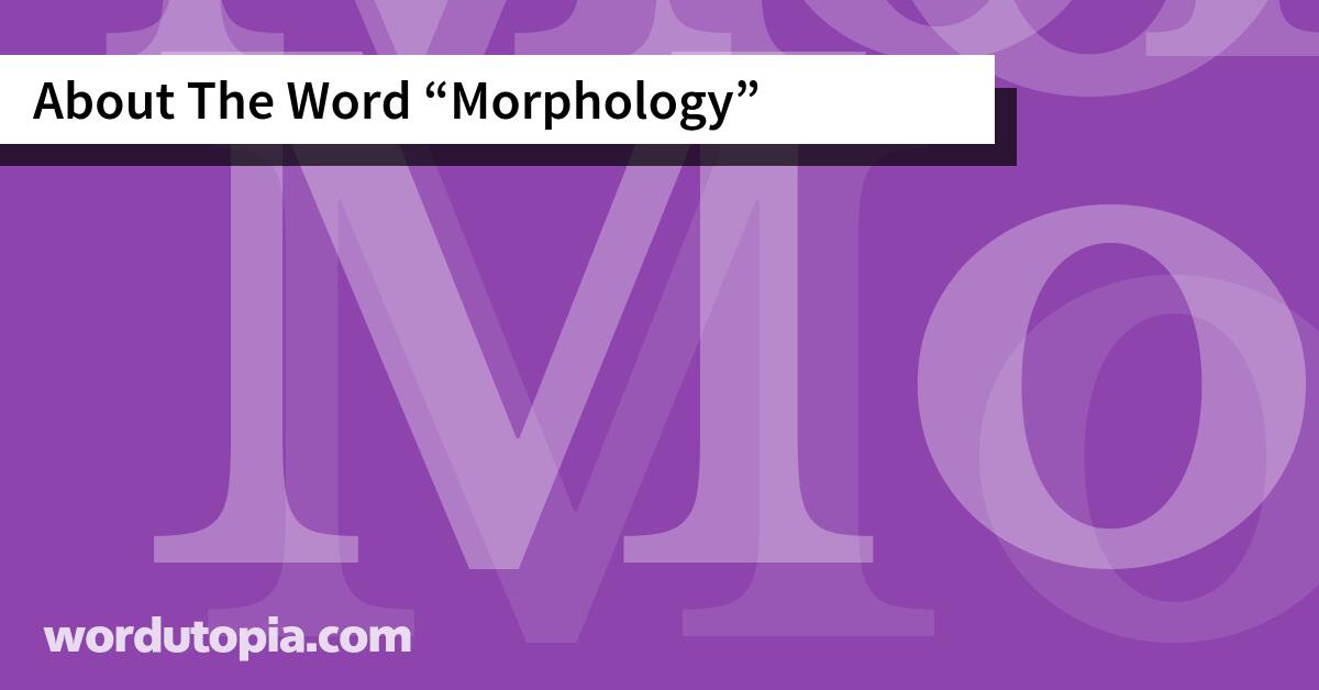 About The Word Morphology