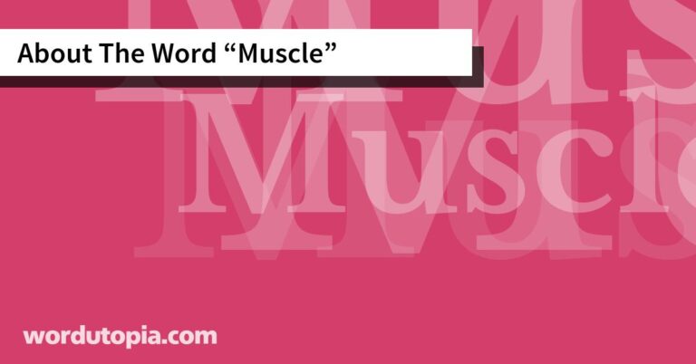 About The Word Muscle Wordutopia