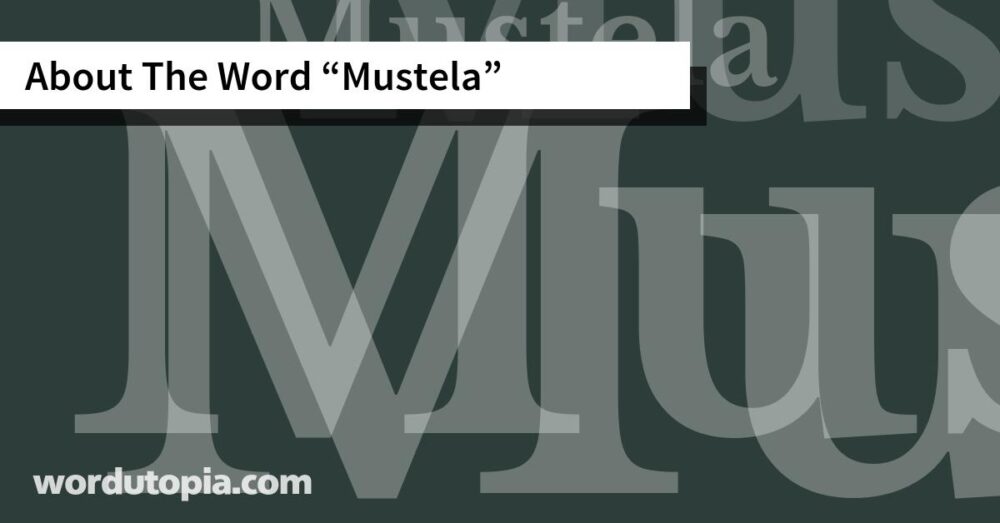 About The Word Mustela
