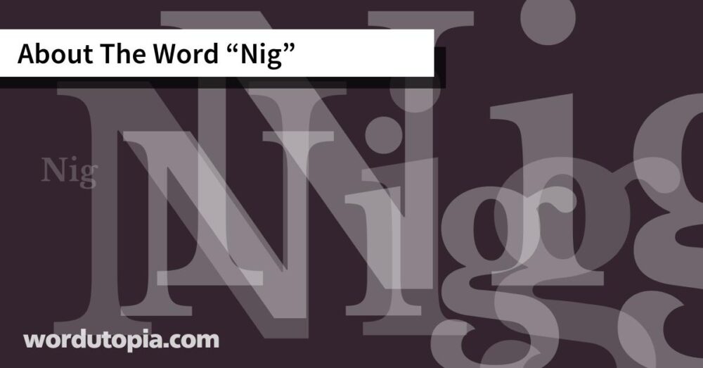 About The Word Nig