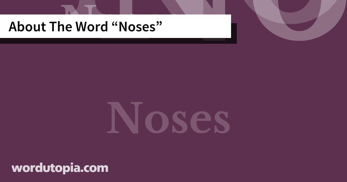 About The Word Noses