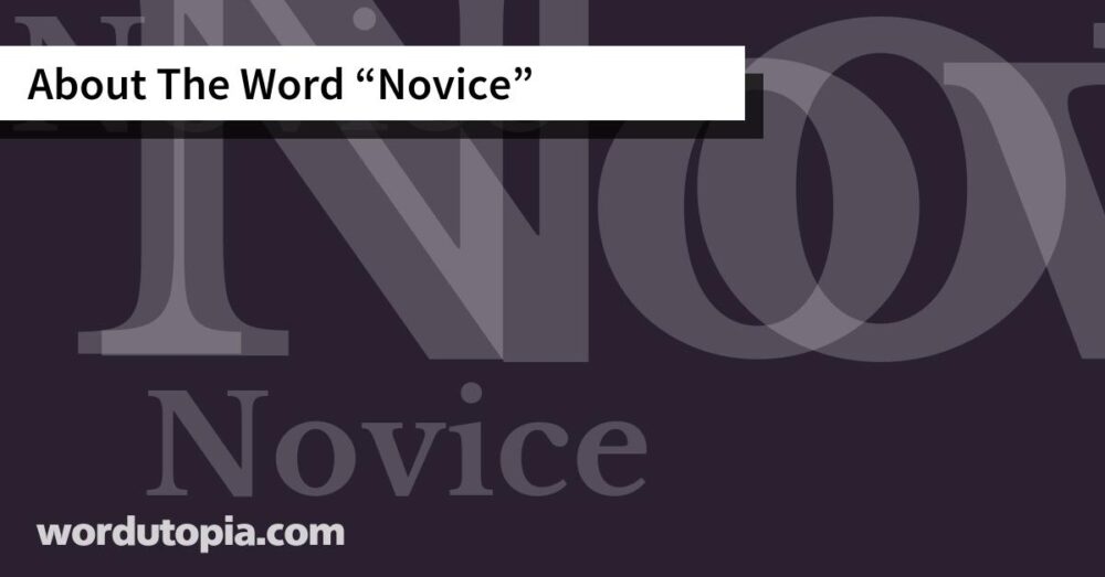 About The Word Novice