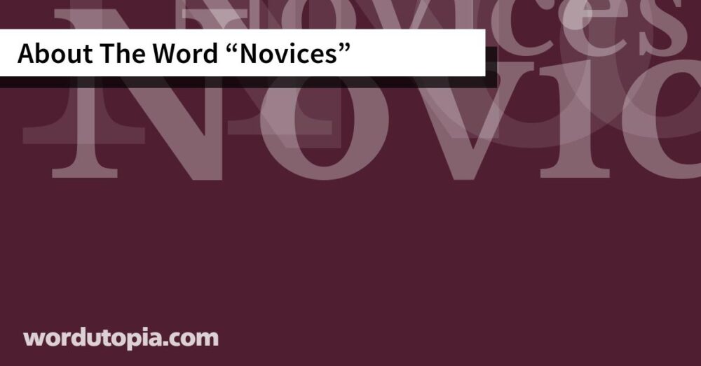 About The Word Novices