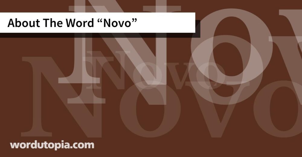 About The Word Novo