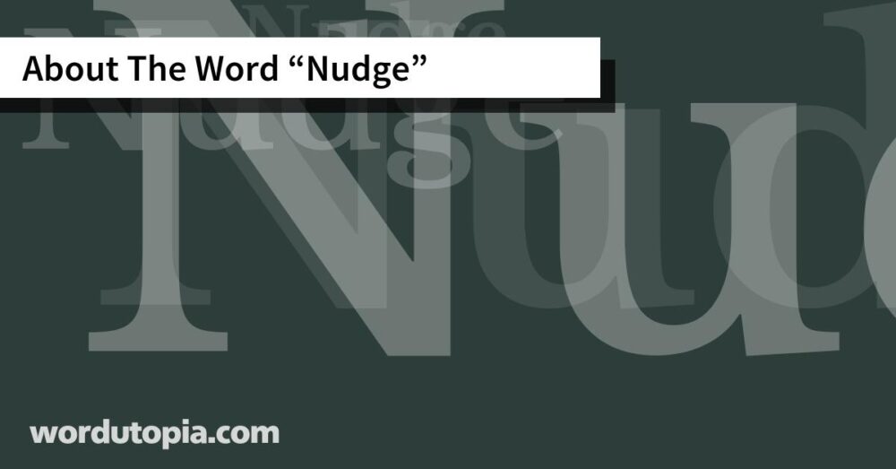 About The Word Nudge