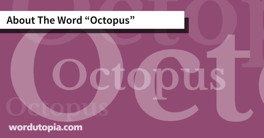 About The Word Octopus