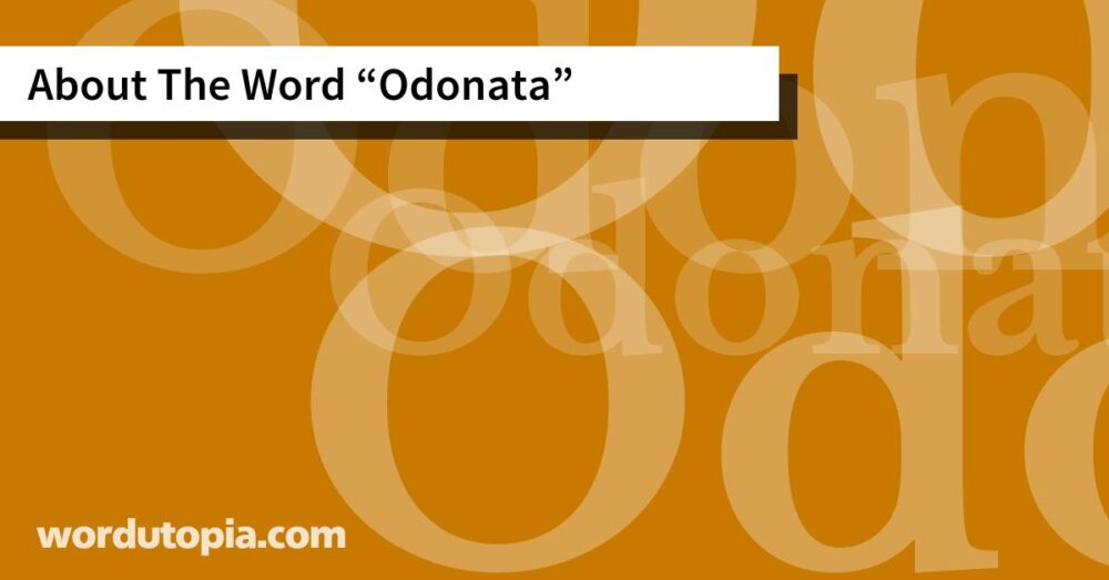 About The Word Odonata