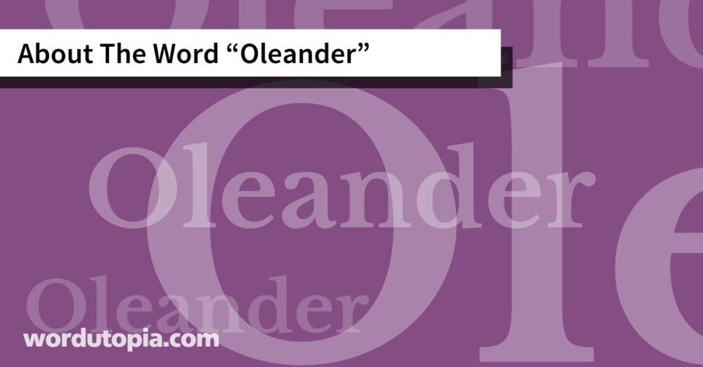 About The Word Oleander
