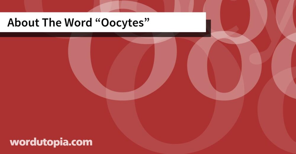 About The Word Oocytes
