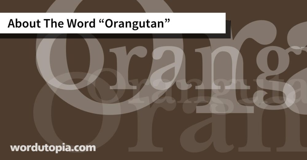 About The Word Orangutan