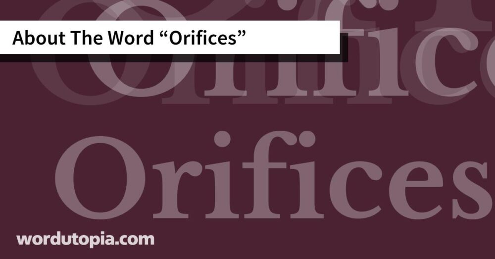 About The Word Orifices