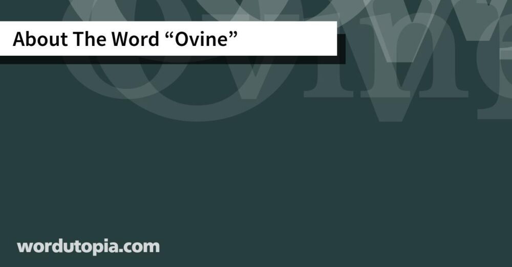 About The Word Ovine