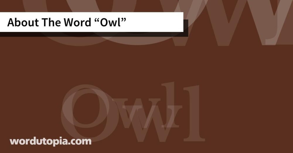 About The Word Owl