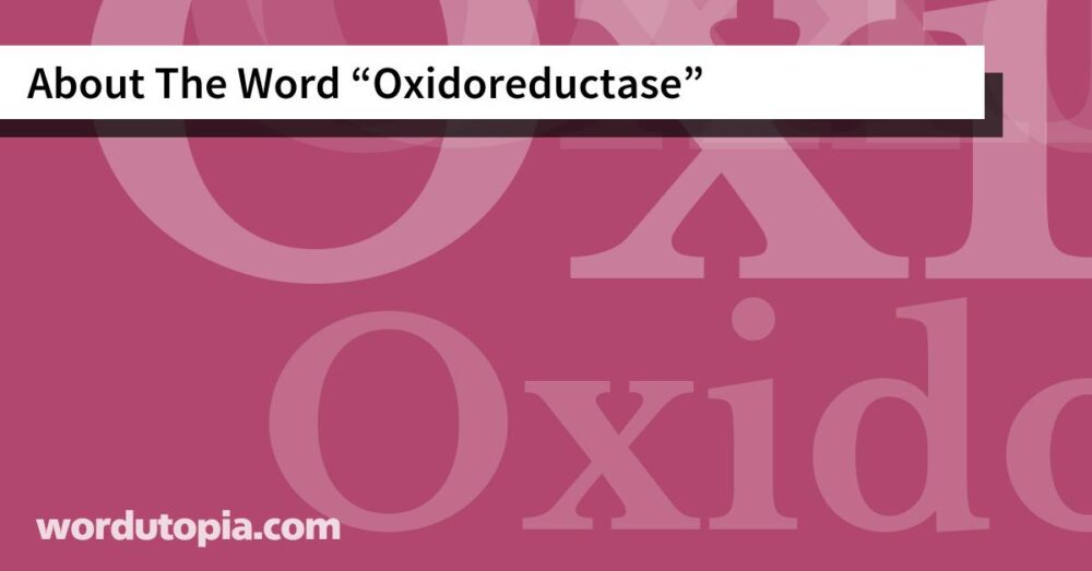 About The Word Oxidoreductase