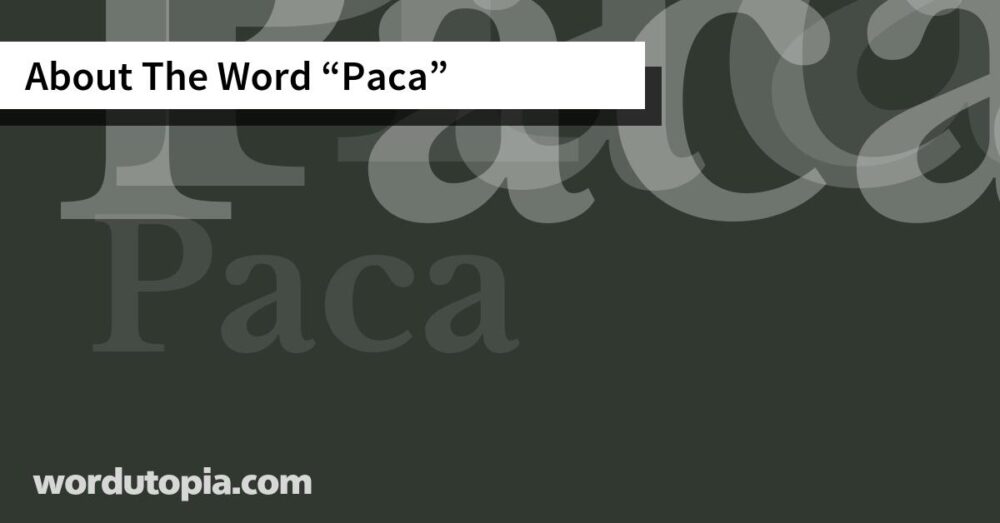 About The Word Paca
