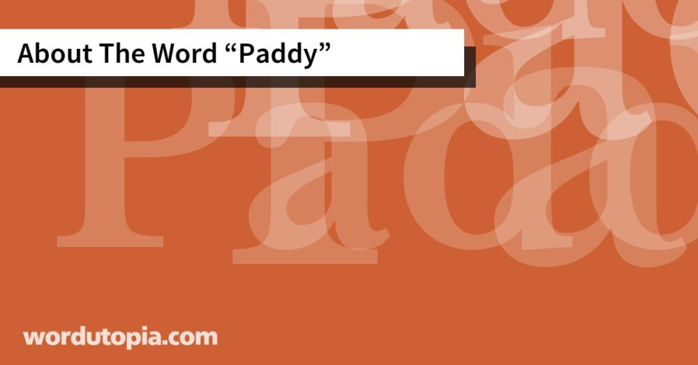 About The Word Paddy
