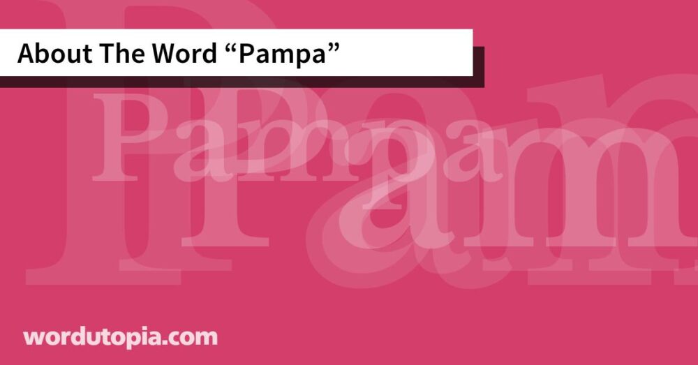 About The Word Pampa