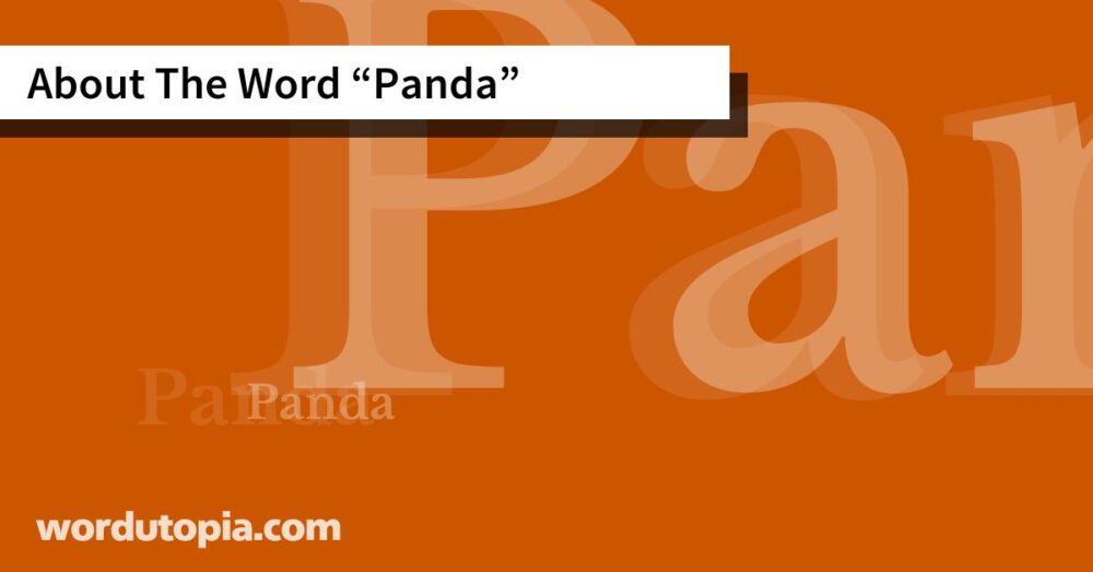 About The Word Panda