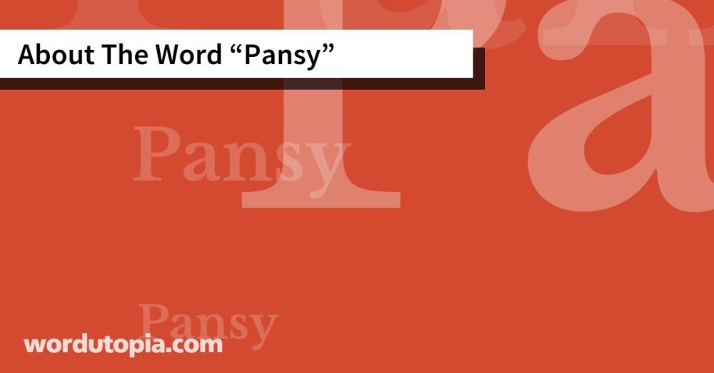 About The Word Pansy