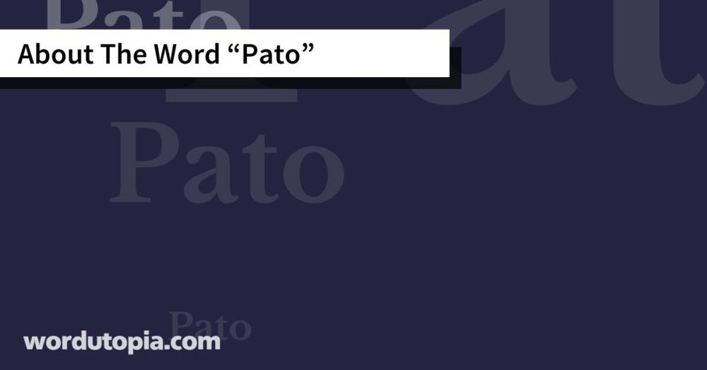 About The Word Pato