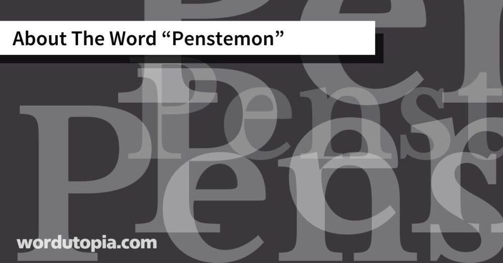 About The Word Penstemon