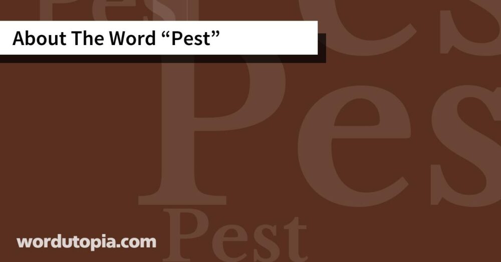 About The Word Pest
