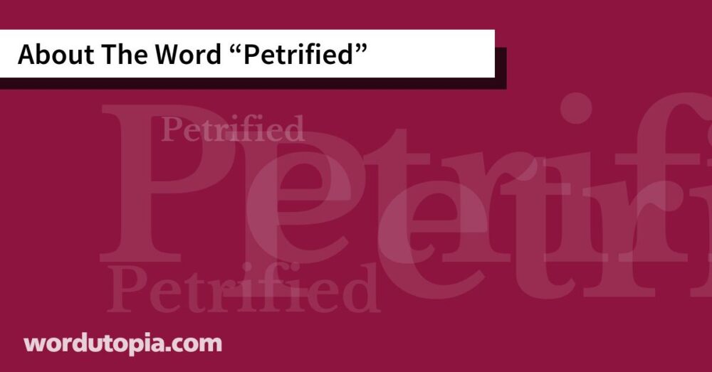 About The Word Petrified