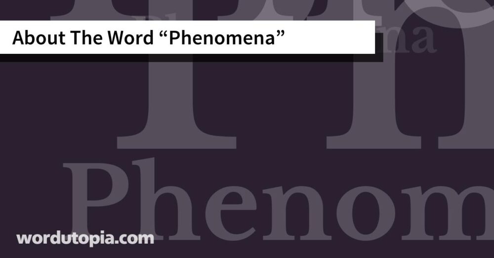 About The Word Phenomena