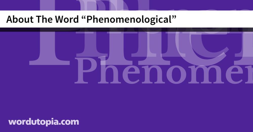 About The Word Phenomenological