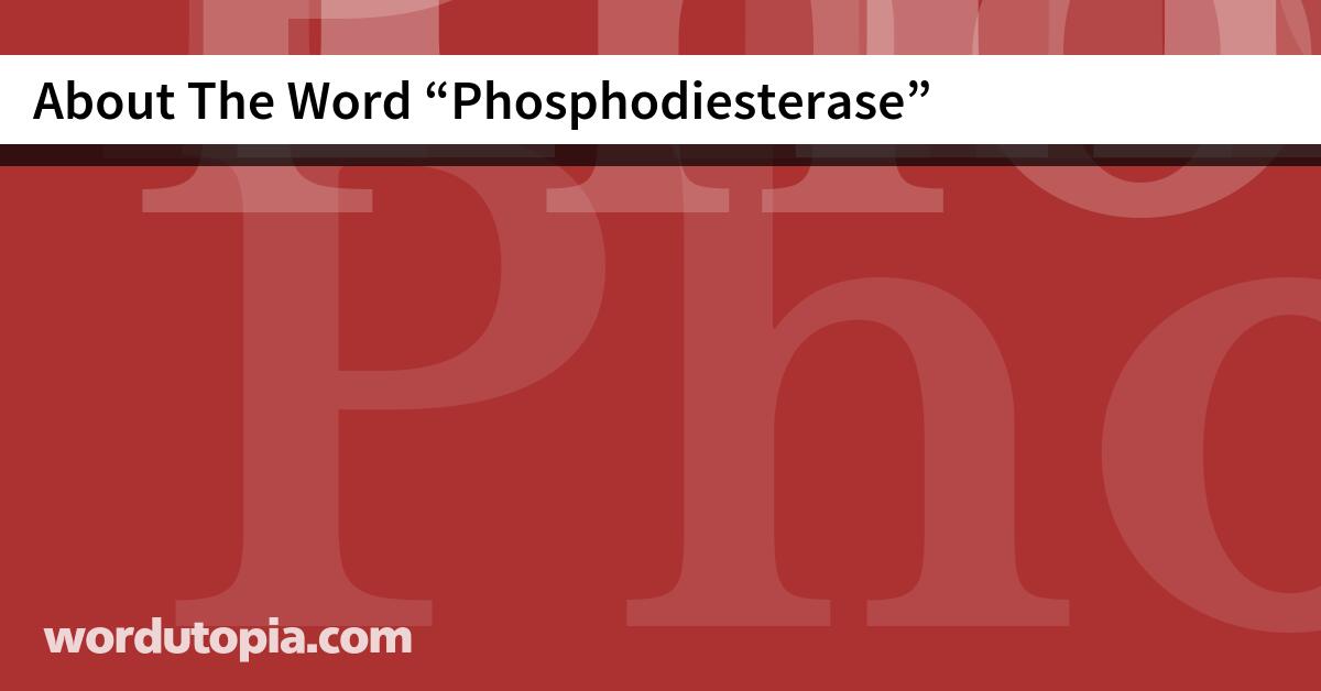 About The Word Phosphodiesterase