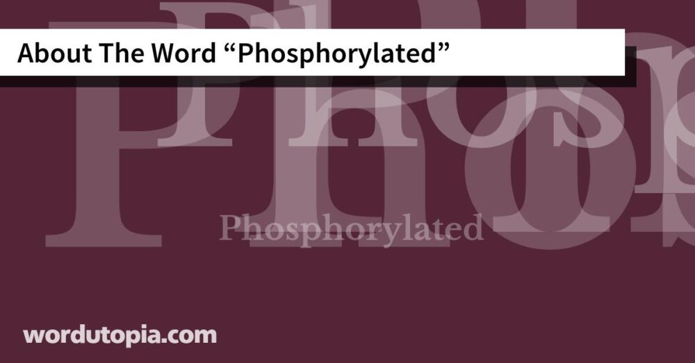 About The Word Phosphorylated
