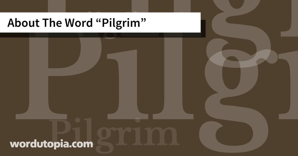 About The Word Pilgrim