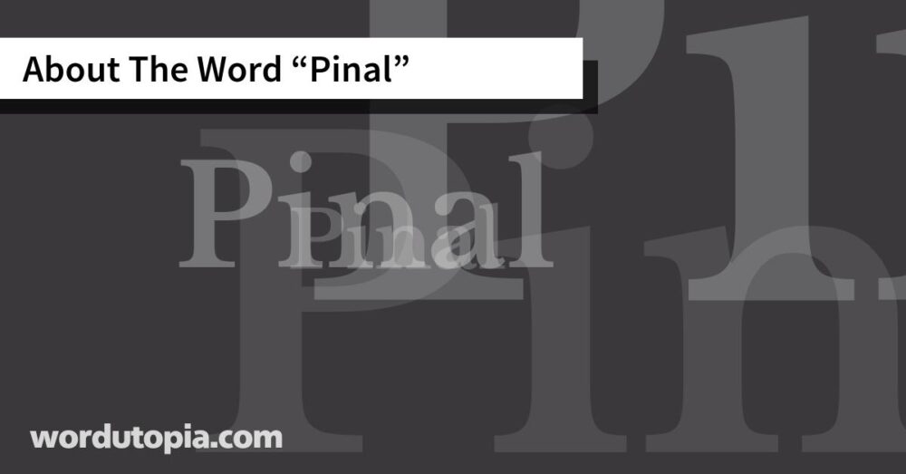 About The Word Pinal