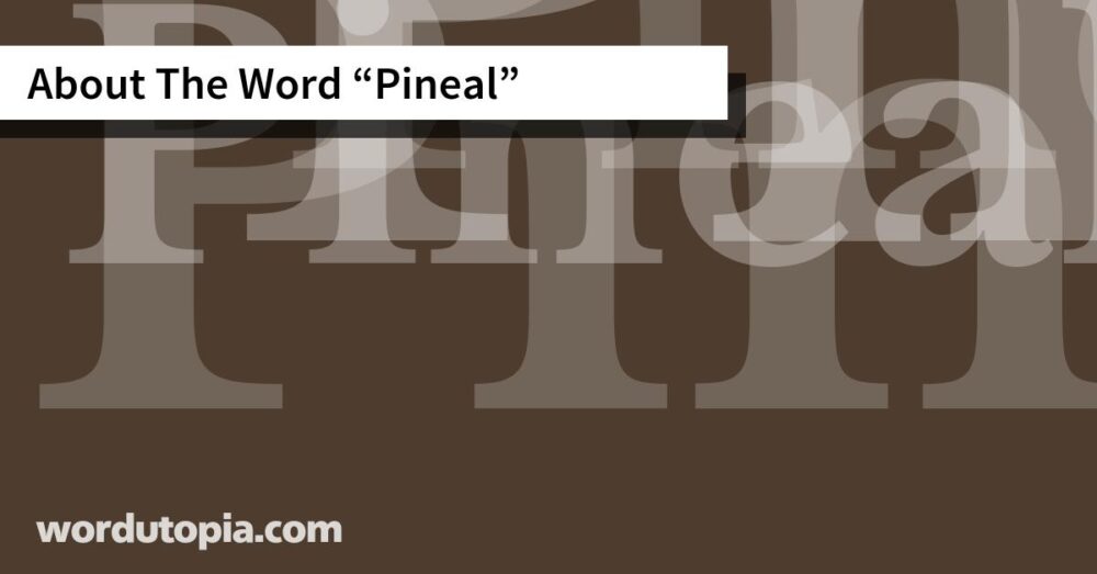 About The Word Pineal