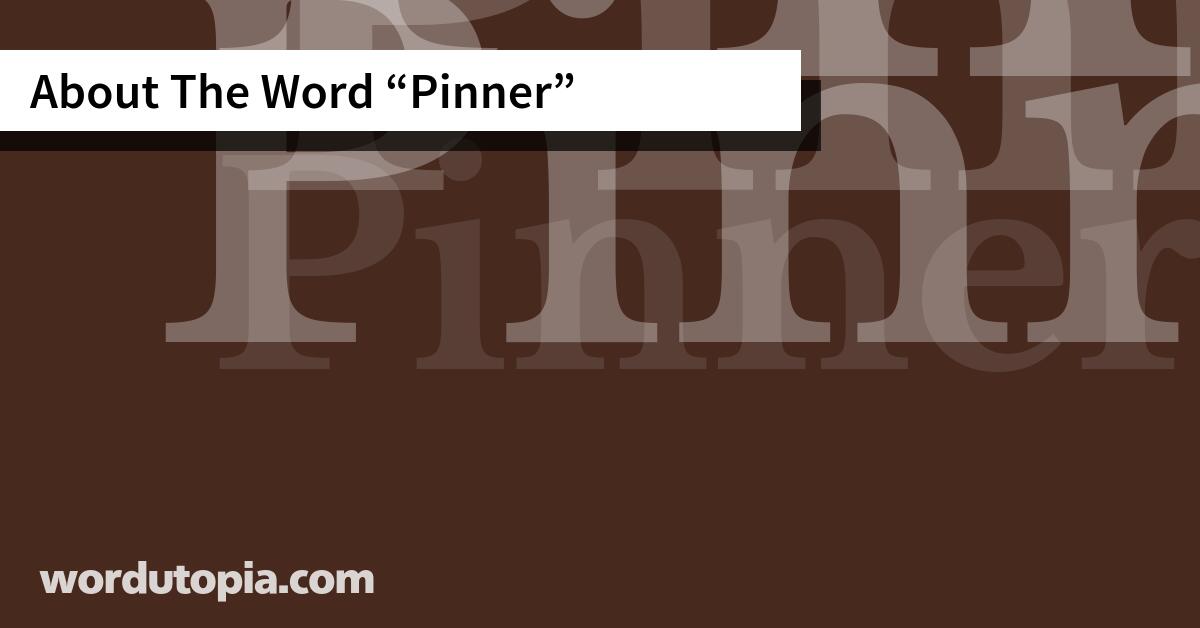 About The Word Pinner