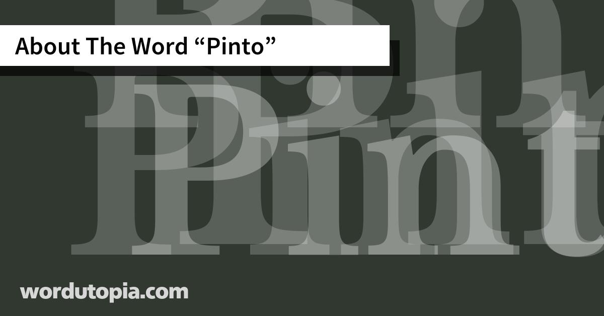 About The Word Pinto