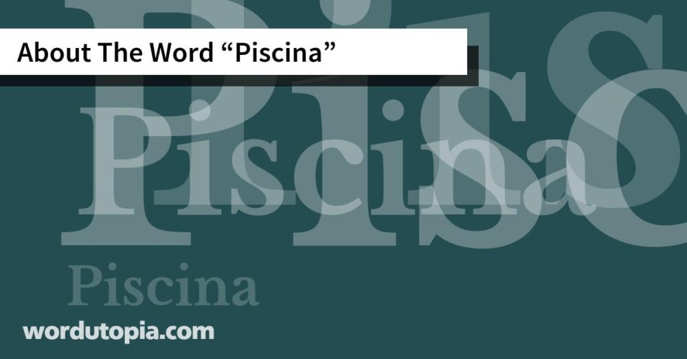 About The Word Piscina