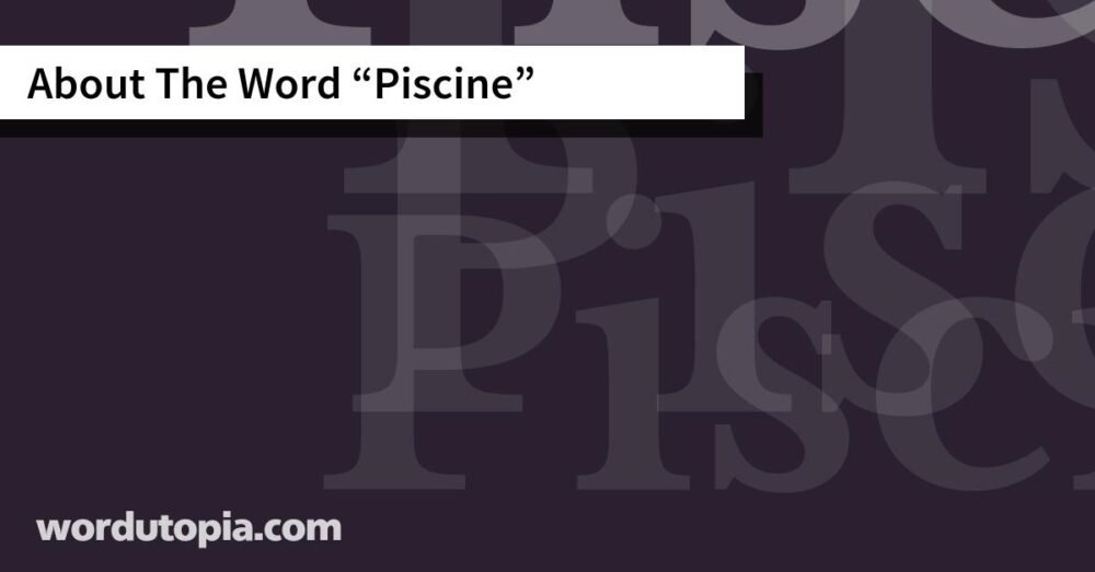 About The Word Piscine
