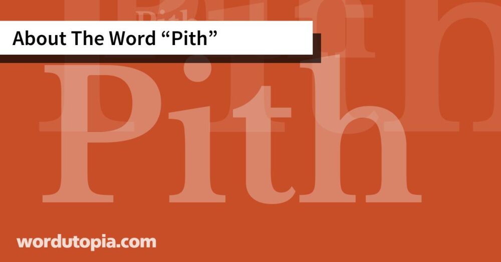 About The Word Pith