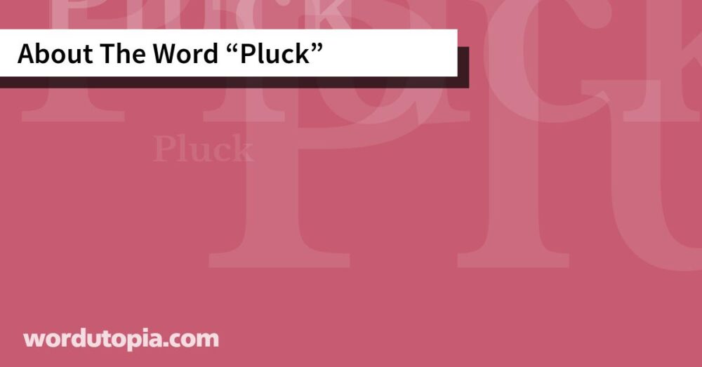 About The Word Pluck