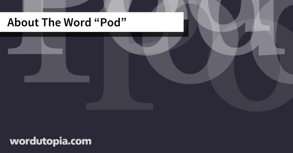 About The Word Pod