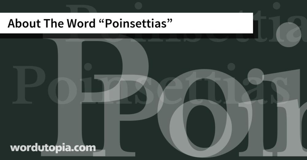 About The Word Poinsettias