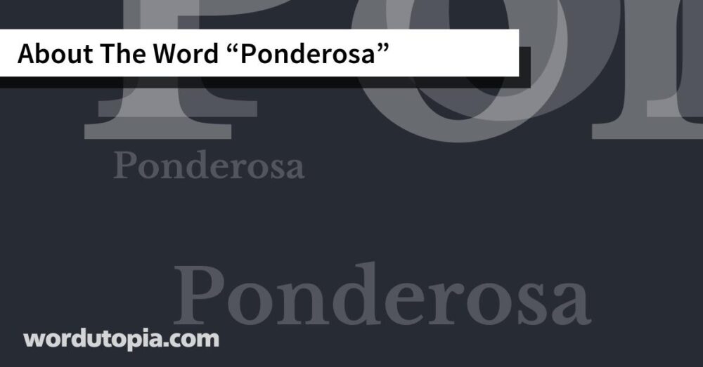 About The Word Ponderosa