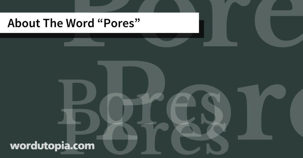 About The Word Pores