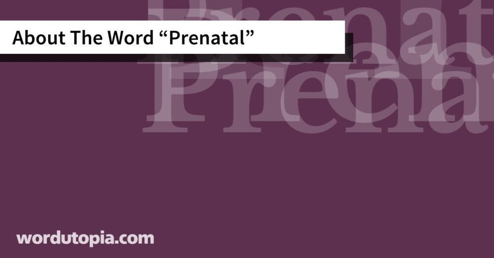 About The Word Prenatal