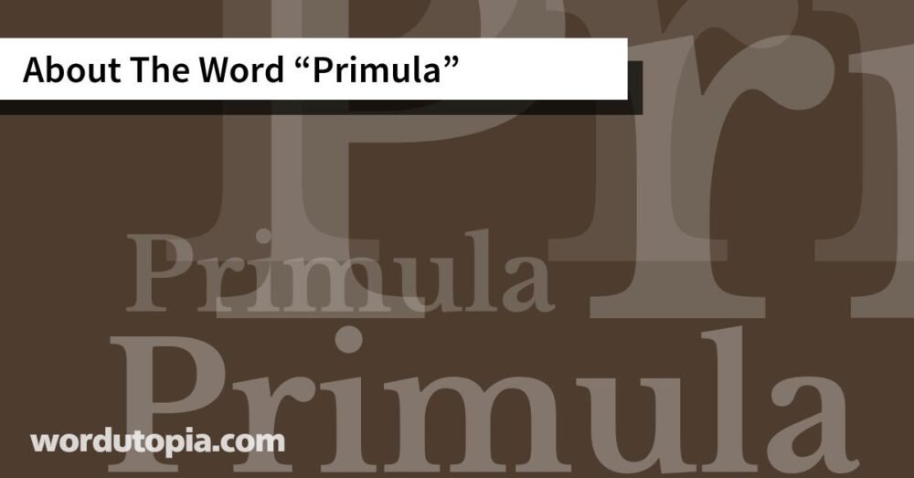 About The Word Primula