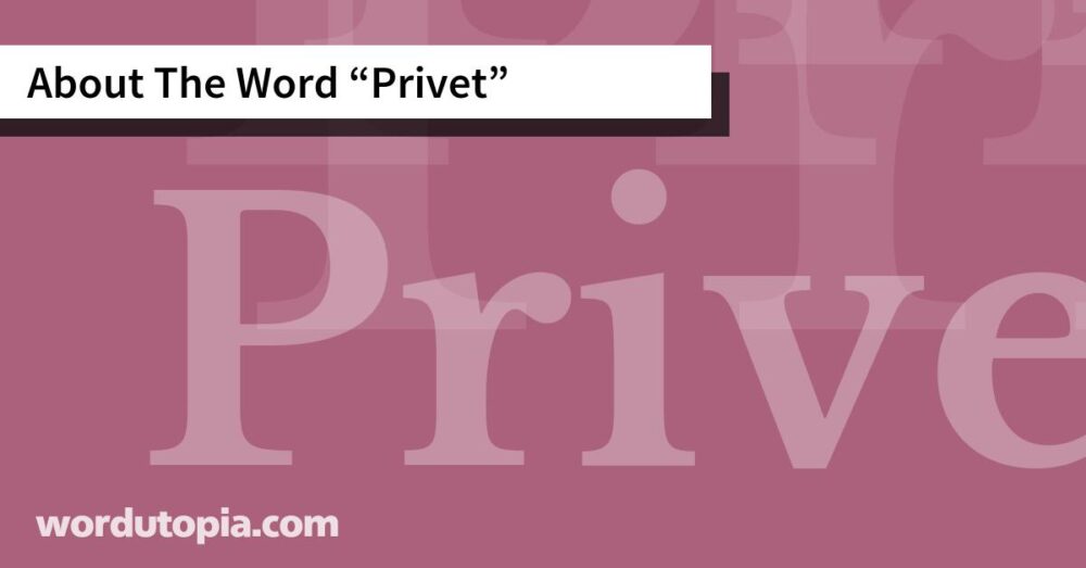 About The Word Privet